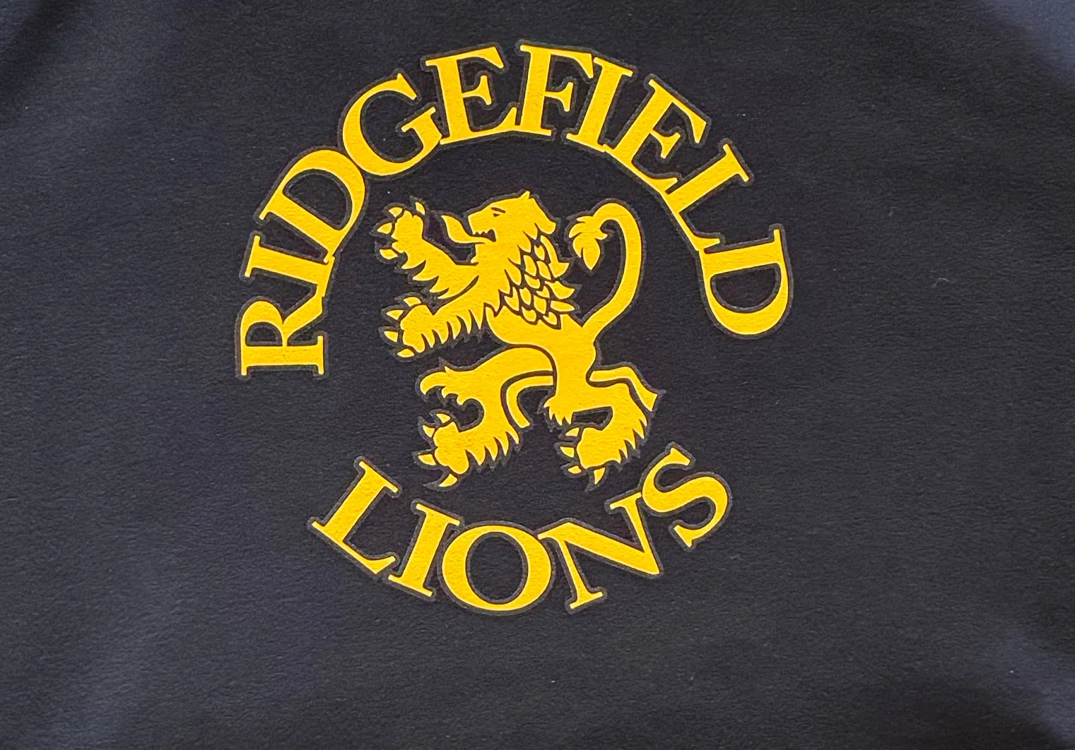 Lions Camouflage Team Hoodie